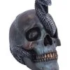 Schuppige Schlange In Totenkopf 19cm -Karneval Universe Verkäufe das schicksal der schlange gothic schaedel 19cm serpentine fate gothic snake skull gothic deko totenkopf 53993