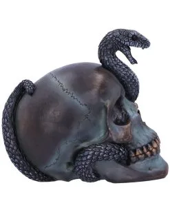 Schuppige Schlange In Totenkopf 19cm -Karneval Universe Verkäufe das schicksal der schlange gothic schaedel 19cm serpentine fate gothic snake skull gothic deko totenkopf 53993 4