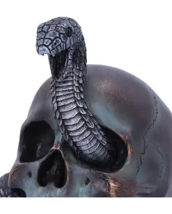Schuppige Schlange In Totenkopf 19cm -Karneval Universe Verkäufe das schicksal der schlange gothic schaedel 19cm serpentine fate gothic snake skull gothic deko totenkopf 53993 5