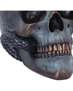 Schuppige Schlange In Totenkopf 19cm -Karneval Universe Verkäufe das schicksal der schlange gothic schaedel 19cm serpentine fate gothic snake skull gothic deko totenkopf 53993 6