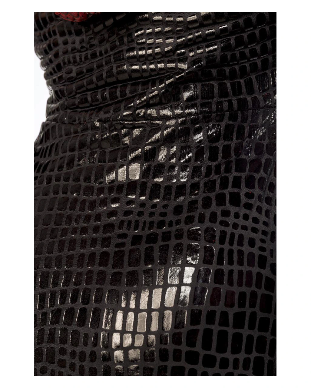 Drachen Lady Kostüm Mit Flügeln 4 Drachen Lady Kostüm Mit Flügeln – Bild 2