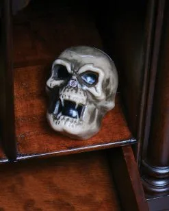 Hidden Screamer Totenkopf Mit Sound 5 Hidden Screamer Totenkopf Mit Sound -Karneval Universe Verkäufe hidden screamer skull 37501