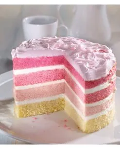 Rosa Lebensmittelfarbe -Karneval Universe Verkäufe lebensmittelfarbe rosa farbpaste zum faerben von teigen dekoration fuer geburtstags und hochzeits torten 27440 2