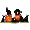 Lemax Spooky Town - Halloween Katzen 2er Set -Karneval Universe Verkäufe lemax spooky town halloween cats 2er set halloween deko spooky town figuren kaufen 53725 01