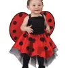 Baby Marienkäfer Kostüm -Karneval Universe Verkäufe marienekaefer babykostuem tierkostuem fuer babys ladybug costume faschings kostuem fuer babys 19318 01