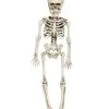 Hängefigur Mini Skelett 40cm 1 Hängefigur Mini Skelett 40cm -Karneval Universe Verkäufe mini skelett torso haengefigur 40cm plastic skeleton halloween decoration halloween partyzubehoer 35972
