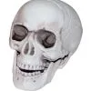 Mini Totenkopf Mit Beweglichem Kiefer -Karneval Universe Verkäufe mini totenkopf mit beweglichen kiefer halloween deko totenschaedel kaufen 19636 01