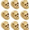 Mini Totenschädel Im Netz -Karneval Universe Verkäufe mini totenkoepfe im netz kleine totenschaedel im netz mini skulls 21585 3