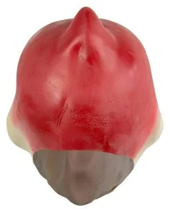 Papagei Maske Polly 7 Papagei Maske Polly -Karneval Universe Verkäufe papagei maske polly comic vogel maske papagei verkleidung kostuemzubehoer 17741 3