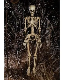 Bewegliches Knochenskelett 90cm 7 Bewegliches Knochenskelett 90cm -Karneval Universe Verkäufe positionierbares knochenskelett halloween deko skelett mit beweglichen gelenken halloween und horror deko 52003 2