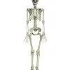 Bewegliches Knochenskelett 90cm