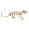 Ratten Tierskelett -Karneval Universe Verkäufe ratten skelett skeleton rat halloween deko skelett figur 39348 01