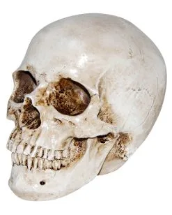 Realistischer Kunststein Totenkopf