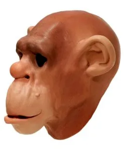 Affenmaske Aus Schaumlatex -Karneval Universe Verkäufe schimpansen schaumlatex maske affenmaske tiermasken bild4 15361
