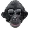 Dunkler Schimpanse Maske -Karneval Universe Verkäufe schwarzer schimpanse maske schimpanse schwarz schimpanse maskerade schwarze affen maskierung schimpansenmaske 20777