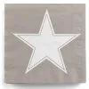 Big Star Servietten Taupe 20 Stück 1 Big Star Servietten Taupe 20 Stück -Karneval Universe Verkäufe servietten sternenmotiv taupe party zubehoer party servietten 29898 01