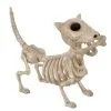 Hunde Skelett Mit Knochen 27cm -Karneval Universe Verkäufe skelett hund mit knochen hunde skelett mit knochen skeleton dog with bone 52641 01