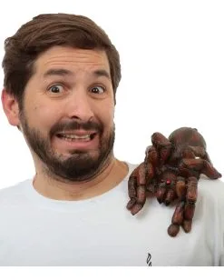 Schulter-Clip Tarantula