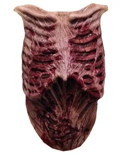 The Walking Dead Zombie Brustkasten