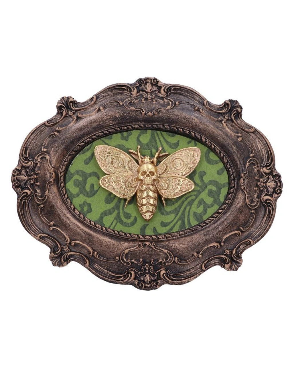 Totenkopfschwärmer Motte Wandbild 6 Totenkopfschwärmer Motte Wandbild – Bild 4