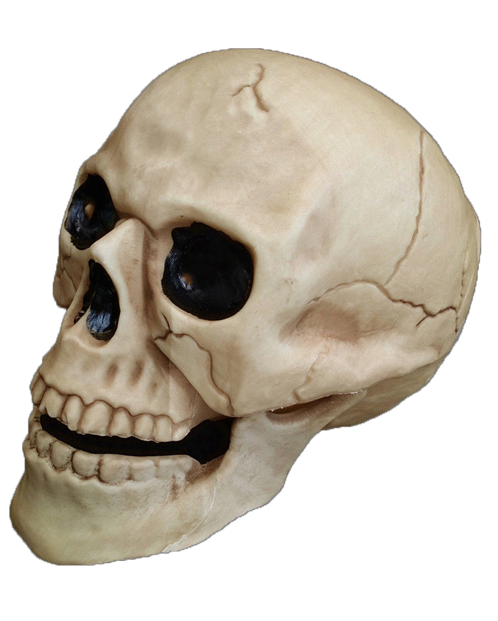 Wetterfester Totenschädel Mit Beweglichem Kiefer 20cm 3 Wetterfester Totenschädel Mit Beweglichem Kiefer 20cm