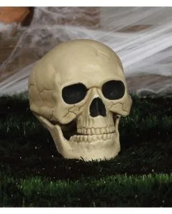Wetterfester Totenschädel Mit Beweglichem Kiefer 20cm 7 Wetterfester Totenschädel Mit Beweglichem Kiefer 20cm -Karneval Universe Verkäufe wetterfester totenkopf mit beweglichem kiefer weatherproof skull with moveable jaw halloween totenschaedel 53405 04
