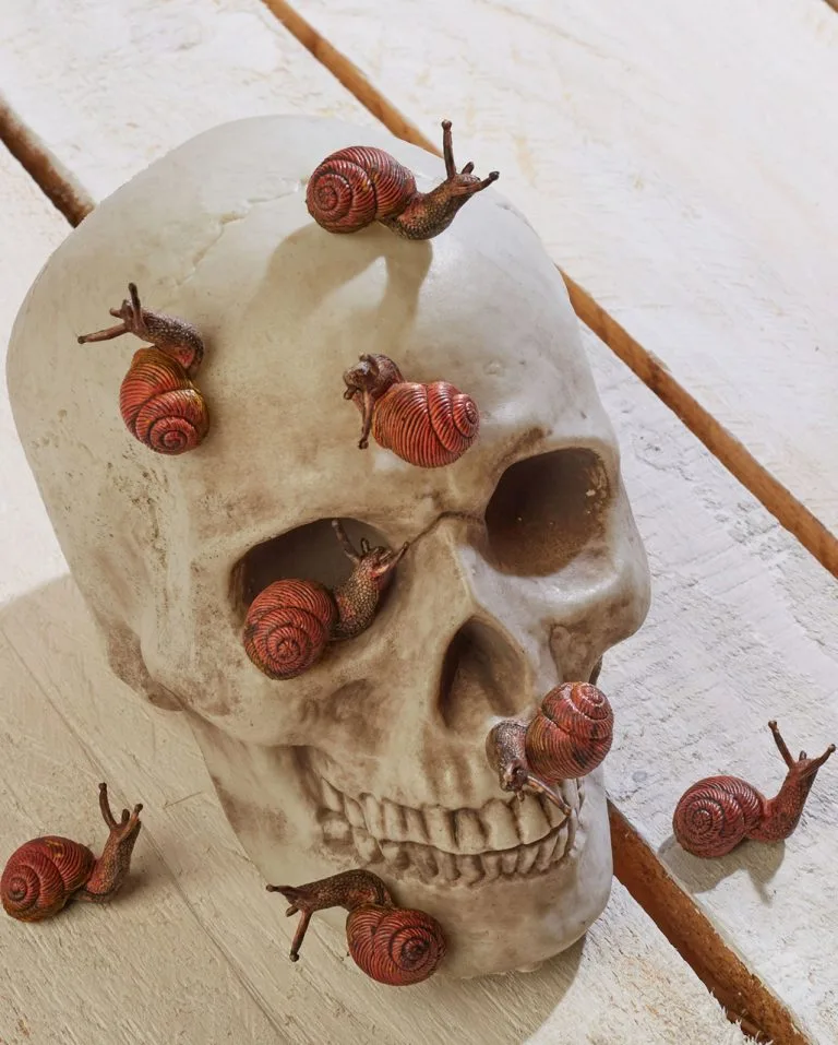 Karneval Universe Verkäufe -Karneval Universe Verkäufe schnecken 12 stueck halloween snails halloween ungeziefer dekoration 52604 768x957 1